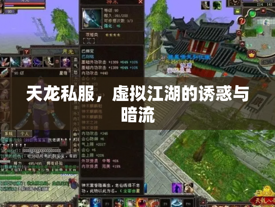 天龙私服，虚拟江湖的诱惑与暗流