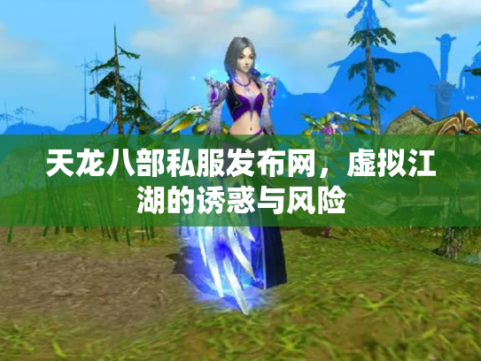 天龙八部私服发布网，虚拟江湖的诱惑与风险