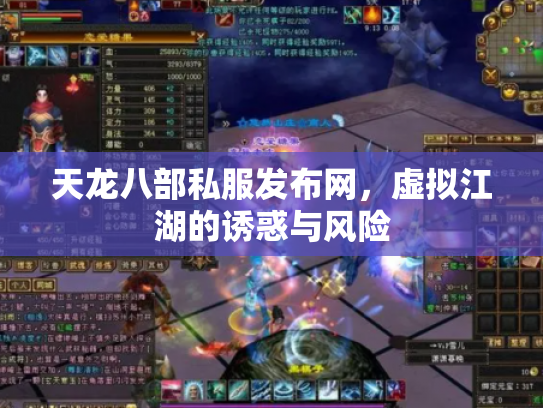 天龙八部私服发布网，虚拟江湖的诱惑与风险