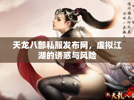 天龙八部私服发布网，虚拟江湖的诱惑与风险