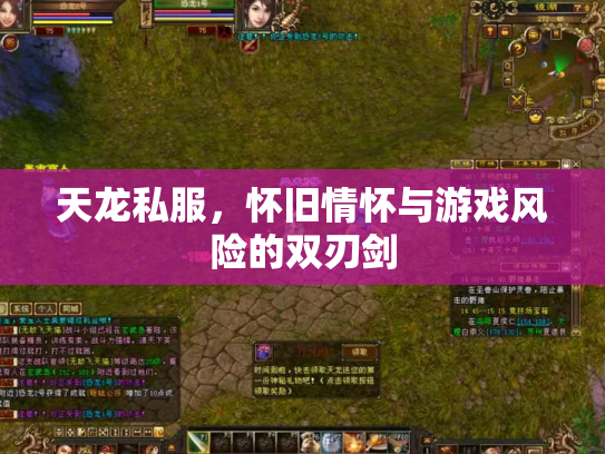 天龙私服，怀旧情怀与游戏风险的双刃剑
