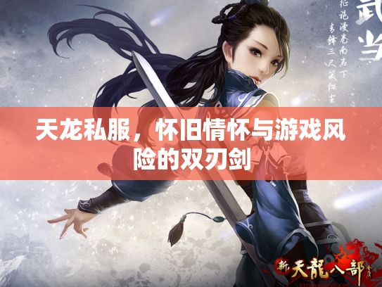 天龙私服，怀旧情怀与游戏风险的双刃剑