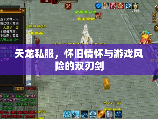 天龙私服，怀旧情怀与游戏风险的双刃剑