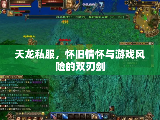 天龙私服，怀旧情怀与游戏风险的双刃剑