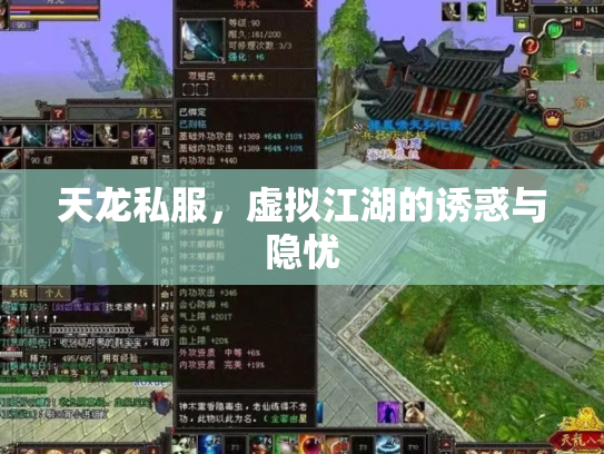 天龙私服，虚拟江湖的诱惑与隐忧