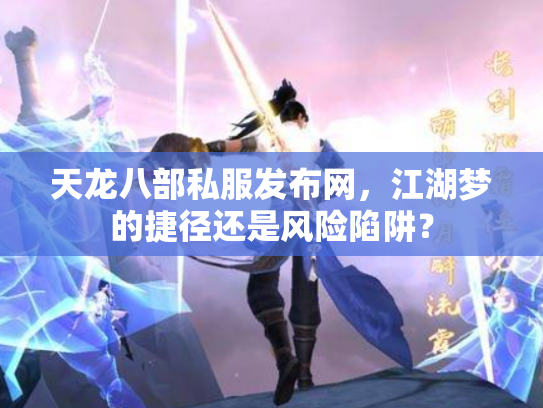 天龙八部私服发布网，江湖梦的捷径还是风险陷阱？