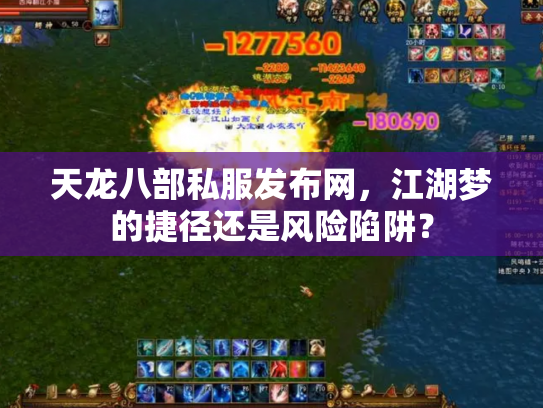 天龙八部私服发布网，江湖梦的捷径还是风险陷阱？