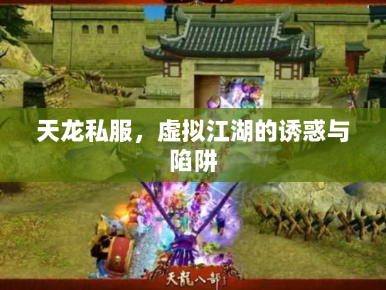 天龙私服，虚拟江湖的诱惑与陷阱
