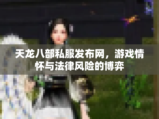 天龙八部私服发布网，游戏情怀与法律风险的博弈