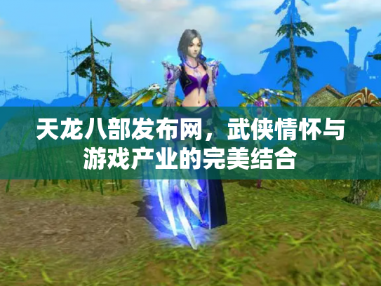 天龙八部发布网，武侠情怀与游戏产业的完美结合