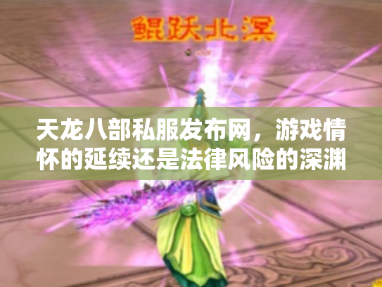 天龙八部私服发布网，游戏情怀的延续还是法律风险的深渊？