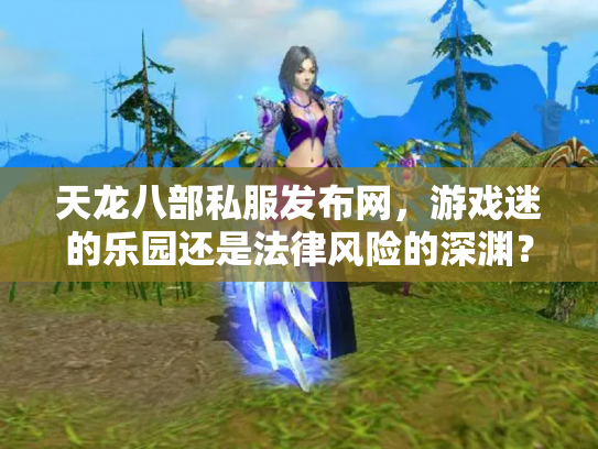 天龙八部私服发布网，游戏迷的乐园还是法律风险的深渊？