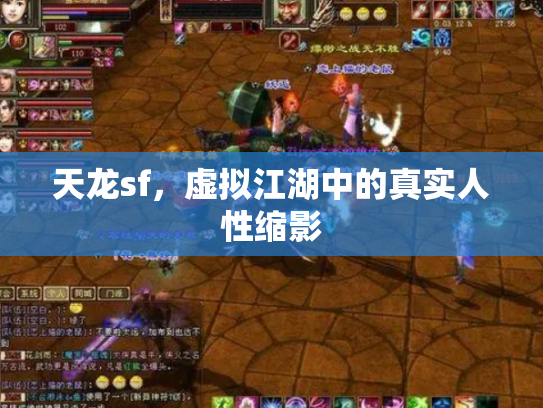 天龙sf，虚拟江湖中的真实人性缩影