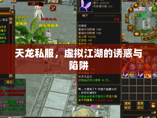 天龙私服，虚拟江湖的诱惑与陷阱