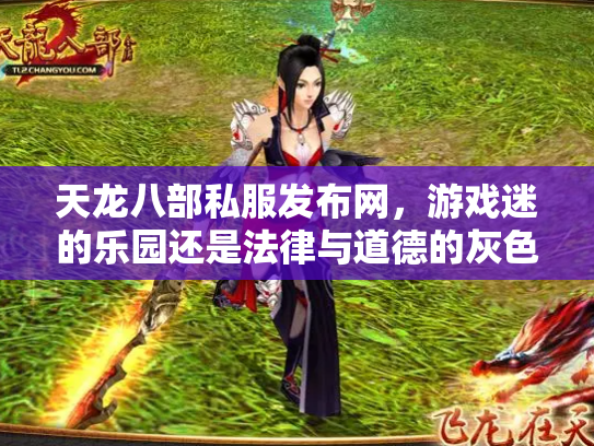 天龙八部私服发布网，游戏迷的乐园还是法律与道德的灰色地带？