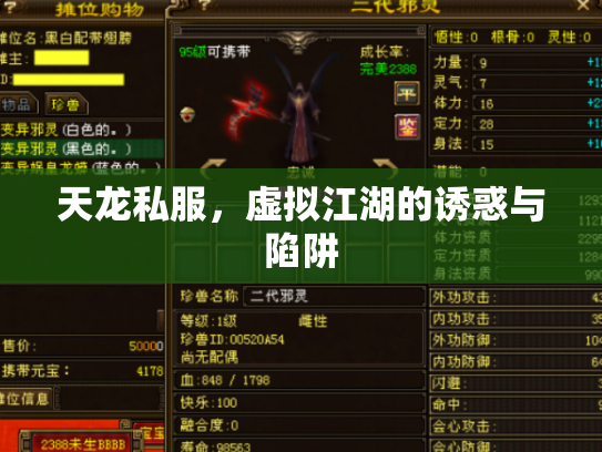 天龙私服，虚拟江湖的诱惑与陷阱