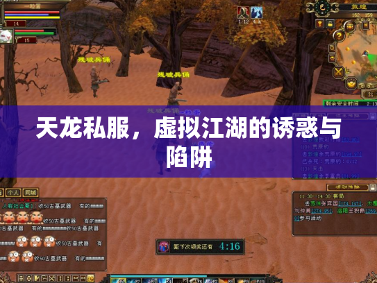 天龙私服，虚拟江湖的诱惑与陷阱