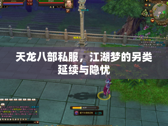 天龙八部私服，江湖梦的另类延续与隐忧