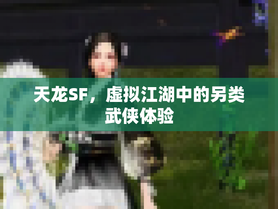天龙SF，虚拟江湖中的另类武侠体验