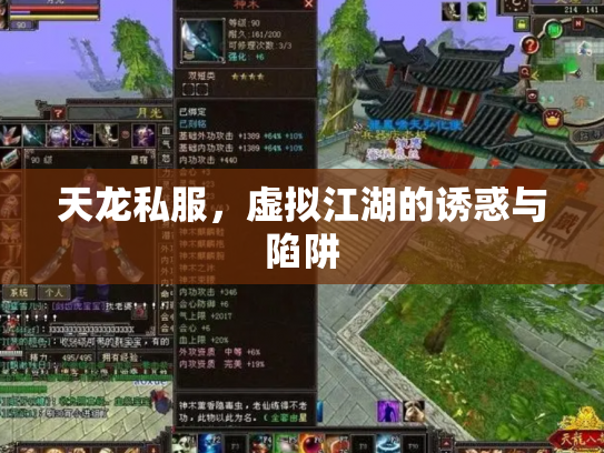 天龙私服，虚拟江湖的诱惑与陷阱