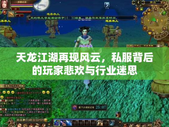 天龙江湖再现风云，私服背后的玩家悲欢与行业迷思