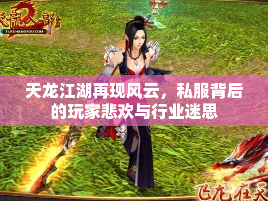 天龙江湖再现风云，私服背后的玩家悲欢与行业迷思