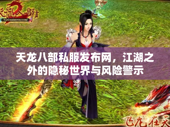 天龙八部私服发布网，江湖之外的隐秘世界与风险警示