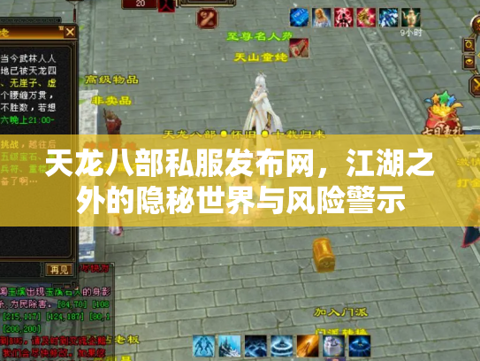 天龙八部私服发布网，江湖之外的隐秘世界与风险警示