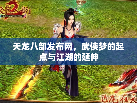 天龙八部发布网，武侠梦的起点与江湖的延伸