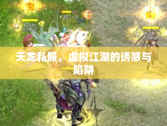 天龙私服，虚拟江湖的诱惑与陷阱
