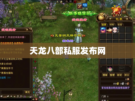 天龙八部私服发布网