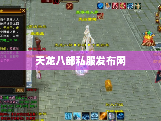 天龙八部私服发布网