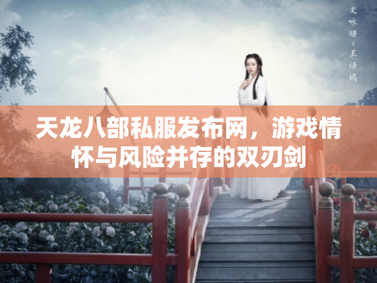 天龙八部私服发布网，游戏情怀与风险并存的双刃剑