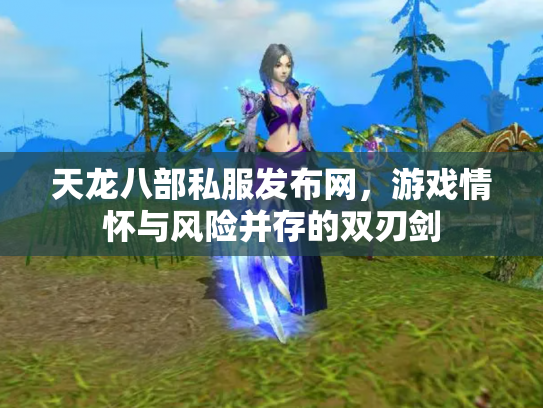 天龙八部私服发布网，游戏情怀与风险并存的双刃剑