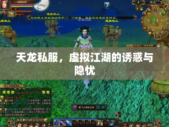 天龙私服，虚拟江湖的诱惑与隐忧