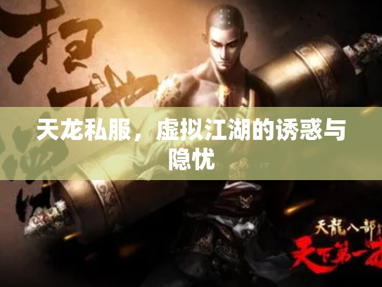 天龙私服，虚拟江湖的诱惑与隐忧