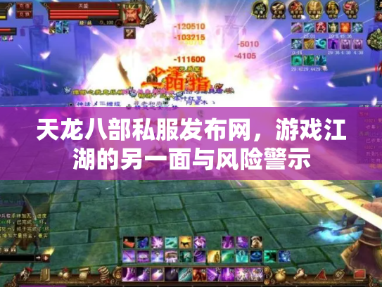 天龙八部私服发布网，游戏江湖的另一面与风险警示