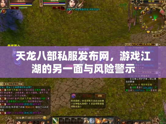 天龙八部私服发布网，游戏江湖的另一面与风险警示