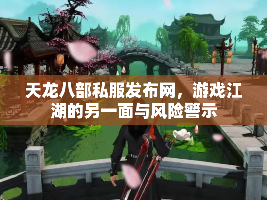 天龙八部私服发布网，游戏江湖的另一面与风险警示