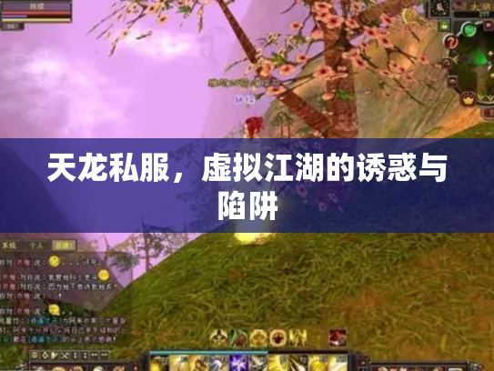 天龙私服，虚拟江湖的诱惑与陷阱