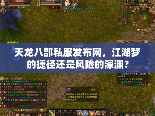 天龙八部私服发布网，江湖梦的捷径还是风险的深渊？