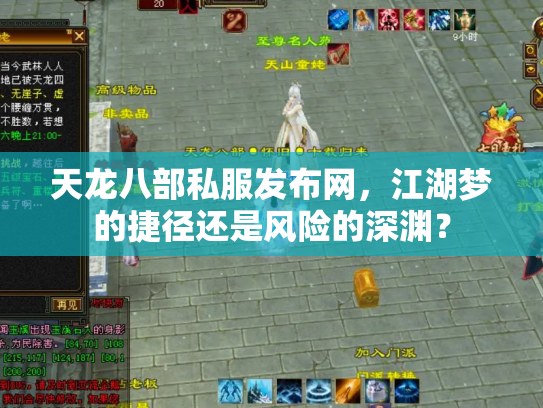 天龙八部私服发布网，江湖梦的捷径还是风险的深渊？