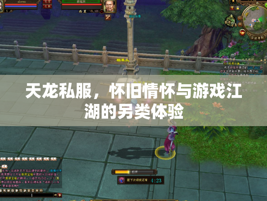 天龙私服，怀旧情怀与游戏江湖的另类体验