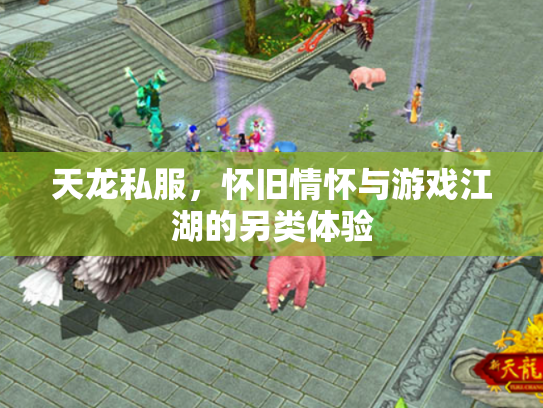 天龙私服，怀旧情怀与游戏江湖的另类体验