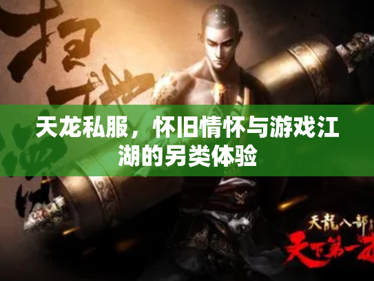 天龙私服，怀旧情怀与游戏江湖的另类体验