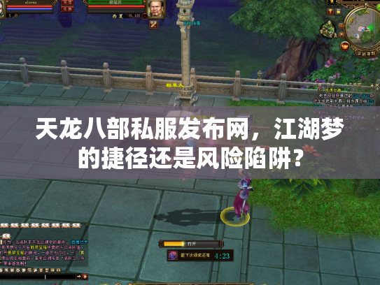 天龙八部私服发布网，江湖梦的捷径还是风险陷阱？