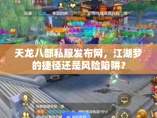 天龙八部私服发布网，江湖梦的捷径还是风险陷阱？