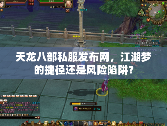 天龙八部私服发布网，江湖梦的捷径还是风险陷阱？