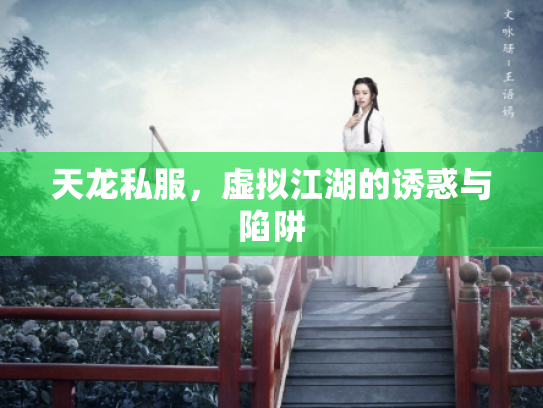 天龙私服，虚拟江湖的诱惑与陷阱