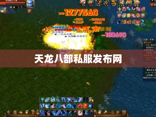 天龙八部私服发布网